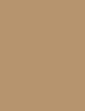WILLOW BUNCH - 344