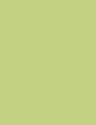 GREEN FIRST - QD43