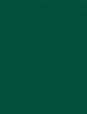 ALWAYS GREEN - 538