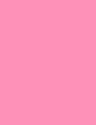 PINK FLARE - 555