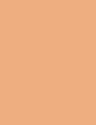 CLASSIC BEIGE - 303
