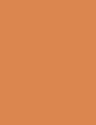 CREMY BEIGE - 323