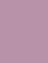 LAVENDER - 025