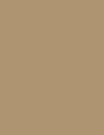 BEIGE - 401