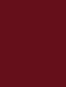 FESTIVE BURGUNDY MATTE - DC26