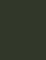 FOREST GREEN - 004