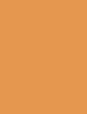 GOLDEN NEUTRAL - 15