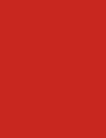 ORANGE WITH RED - 560