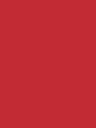 BRIGHT ROSEHIP - 002