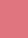 Floral Pink - 003